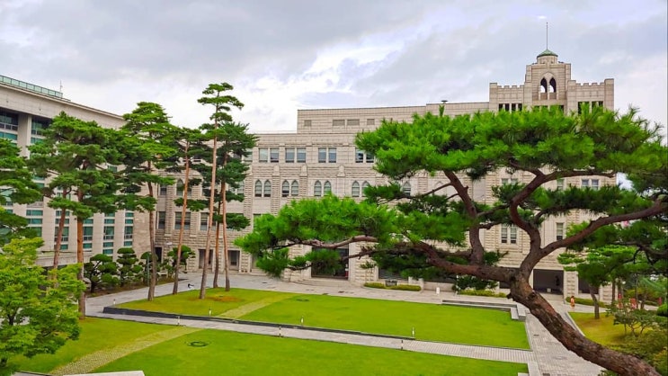  간만의 여유 KMBA 두 번째 학기(2021학년 2학기) 14주 차 후기