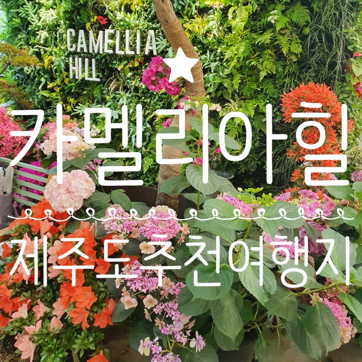  제주도 카멜리아힐 남녀노소 만족할 제주여행지 (입장권,관람시간,지도 정보)