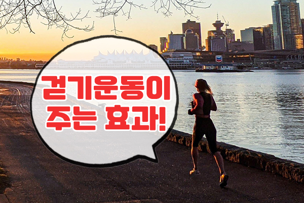  걷기운동효과는 어느정도 도움이될까요.