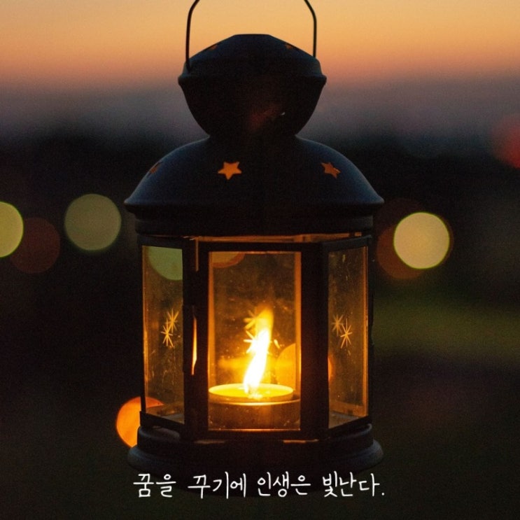  부거사이 [부동산 뉴스와 블로그] 12월 6일(월)