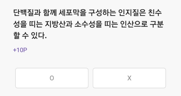  2021.12.06 리브메이트 퀴즈 정답 [오늘의퀴즈]