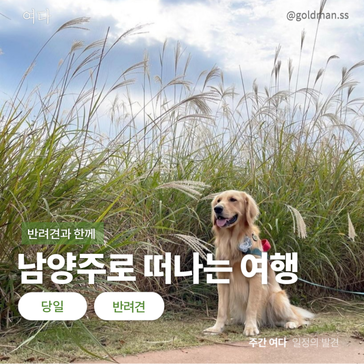  [남양주여행] 반려견과 남양주로 떠나는 여행
