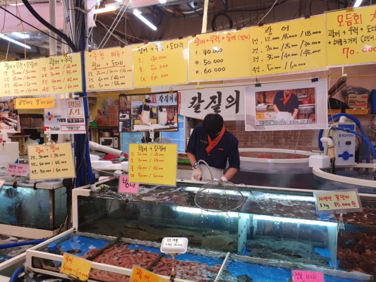  <강릉>강릉중앙시장 회센터 은총횟집 포장&가격