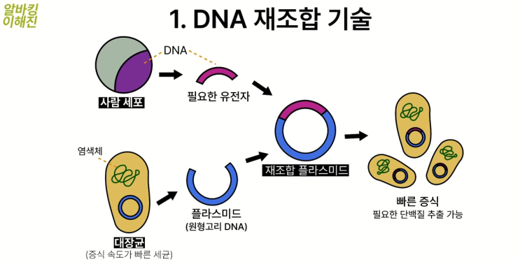  바이오섹터 공부(feat. 알바킹이해진)