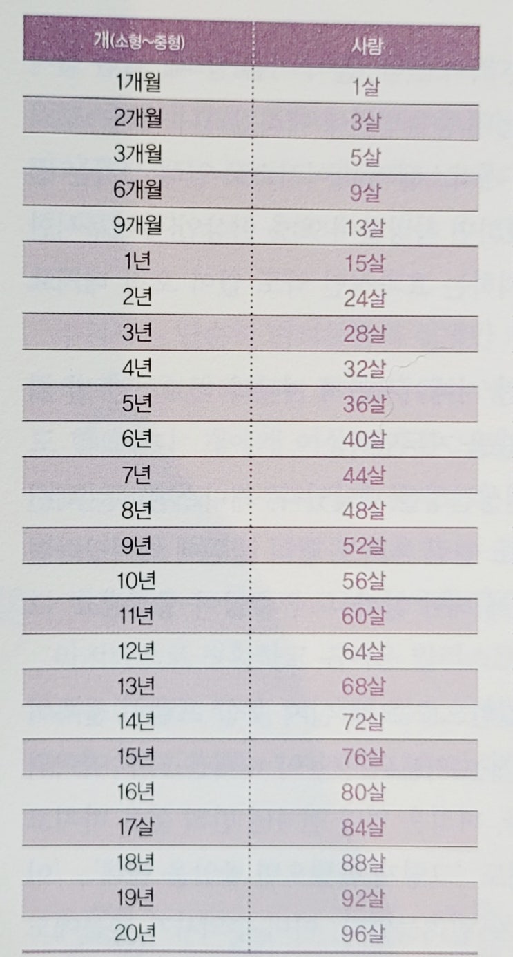  사람과 강아지 나이 계산 대조표 (소형견, 대형견 다름)