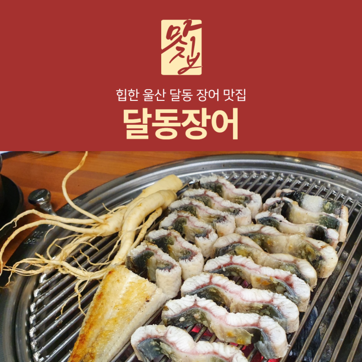  [달동장어] 힙했던 울산 달동 민물장어 맛집, 한 끼 먹으면 저절로 건강해짐