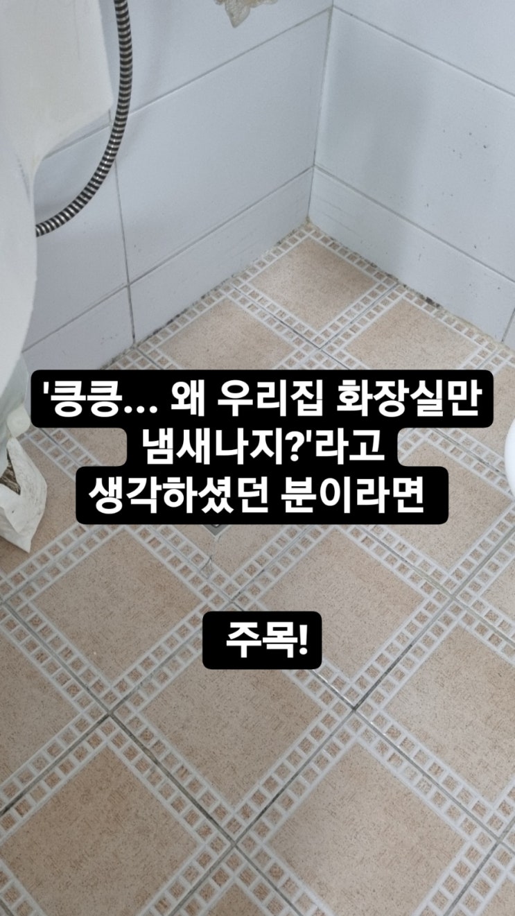  누구도 몰랐던 화장실,하수구냄새 제거하는 꿀팁!