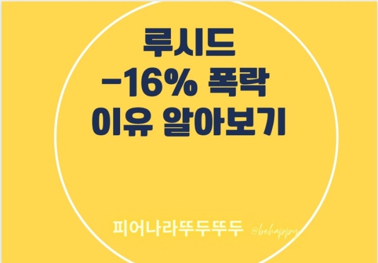  루시드 주가16% 폭락 이유 알아보기
