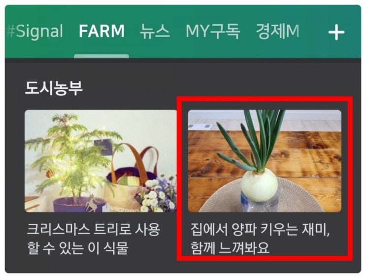  네이버 FARM에 글이 소개되다