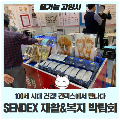 2021 SENDEX 재활&복지박람회100세 시대 건강! 킨텍스에서 준비하세요! 2021 SENDEX 재활&복지박람회100세 시대 건강! 킨텍스에서 준비하세요!