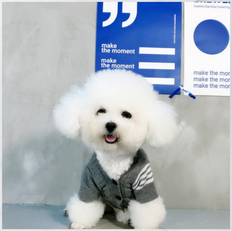 명품 강아지옷 가디건 고급 애견의류 개들의민족에서 :)