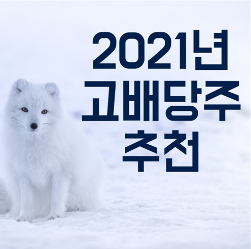  2021년 연말 고배당주 추천