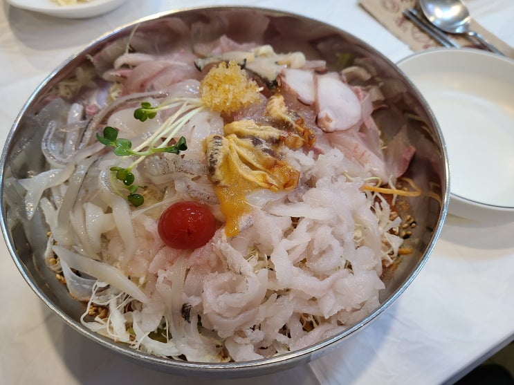 속초 물회 맛집 오징어순대 존맛 구구집 내돈내산