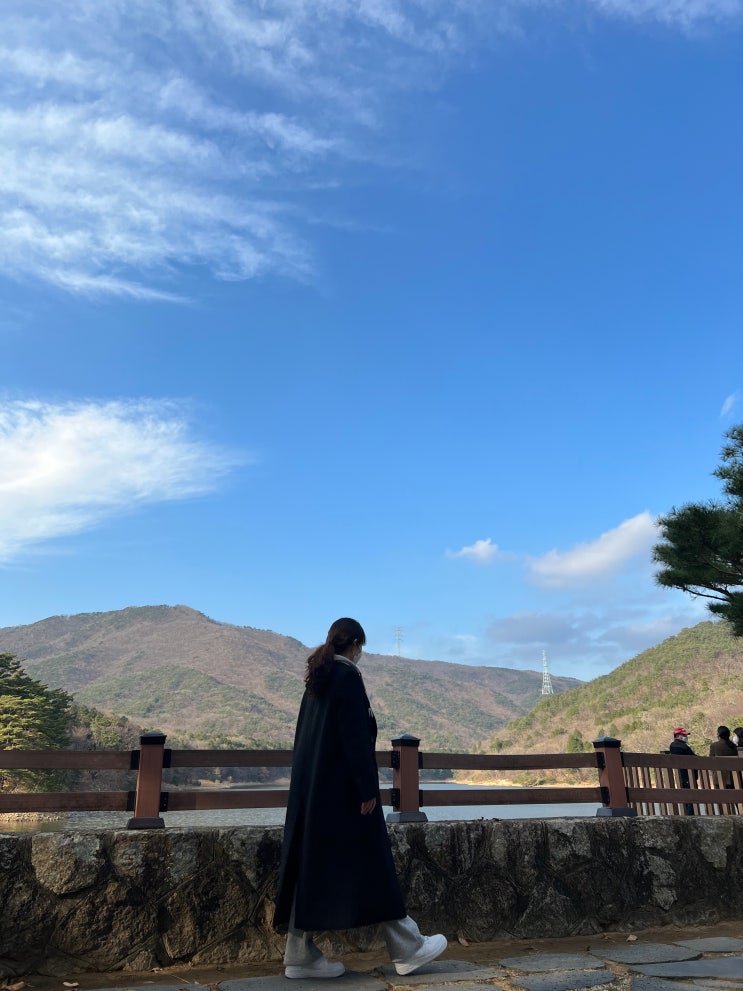 겨울 롱코트 추천 : 던스트 테일러드 더블 브레스티드 코트 xs 후기 겨울 롱코트 추천 : 던스트 테일러드 더블 브레스티드 코트 xs 후기