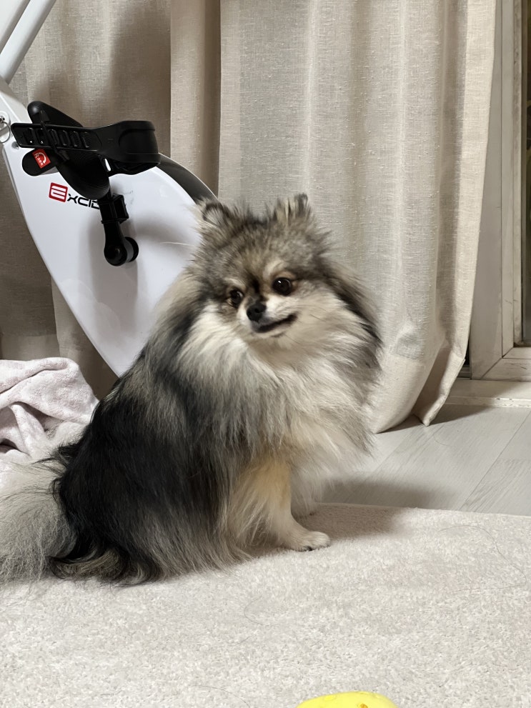  오늘도 별 일 없는 꾸꾸의 일상