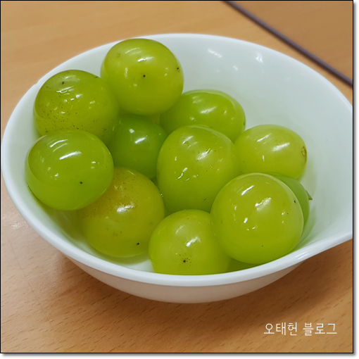  샤인머스캣 아니고 샤머