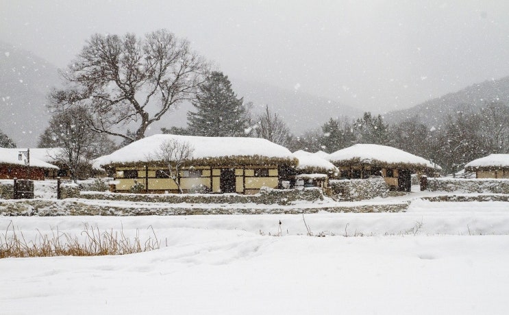  대설(大雪),24절기중20번째절기,대설의뜻,대설제철음식,이시기에 눈이자주오면 보리농사가 풍년이된다