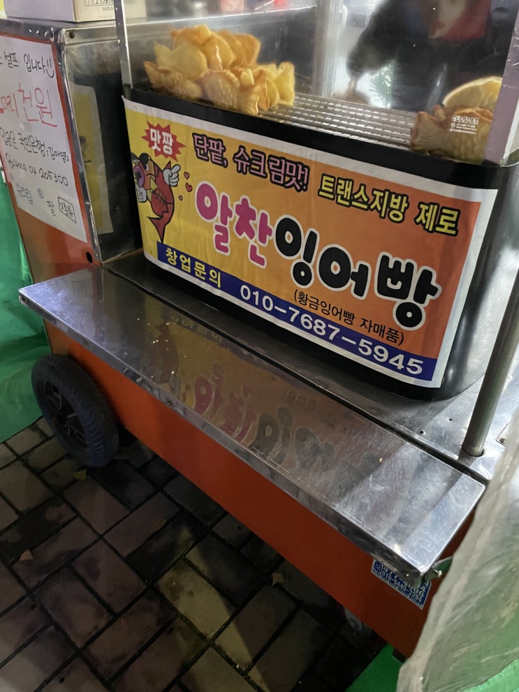  나름 열심히 돌아다닌 11월 일상