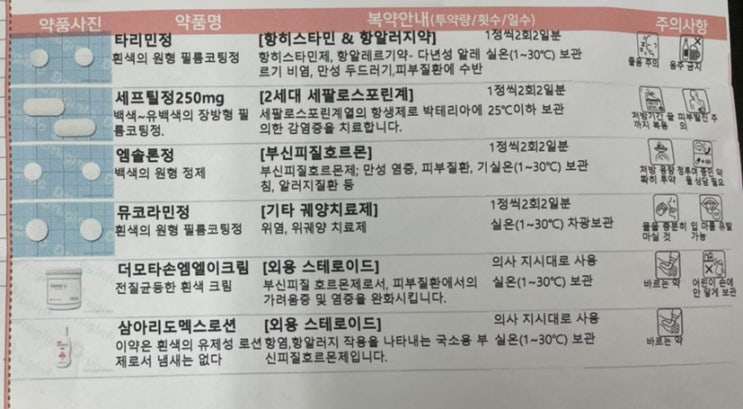  구순염 기록