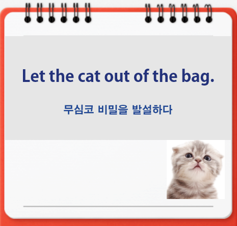Let the cat out of the bag 유래, 무심코 비밀을 발설하다