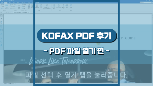 KOFAX에서 PDF파일 열기 실행 후기