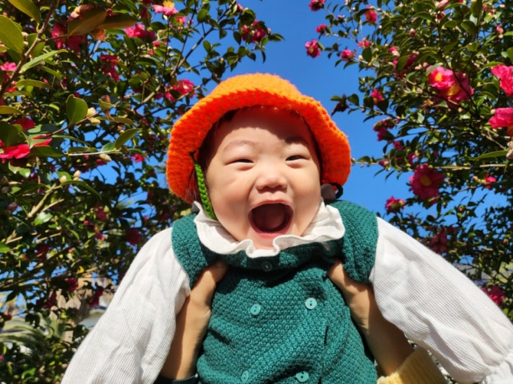  12월 제주도 여행, 돌아기 봄이랑 2박 3일(카페 렌시아, 김재훈 고사리 육개장) 제4탄 /맛집 편