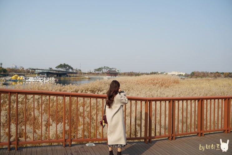 인천 청라 가볼만한곳 청라호수공원 산책로 인천 청라 가볼만한곳 청라호수공원 산책로