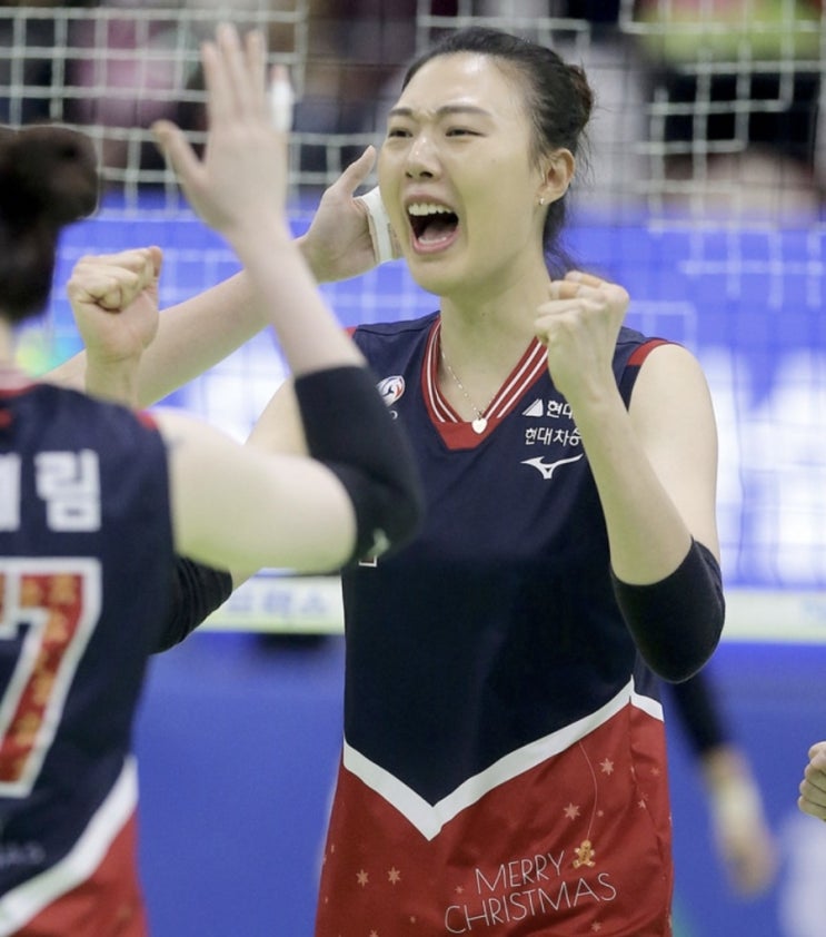 KOVO 프로배구 국내배구 남자배구 KB손해보험 현대캐피탈 여자배구 도로공사 현대건설 KOVO 프로배구 국내배구 남자배구 KB손해보험 현대캐피탈 여자배구 도로공사 현대건설