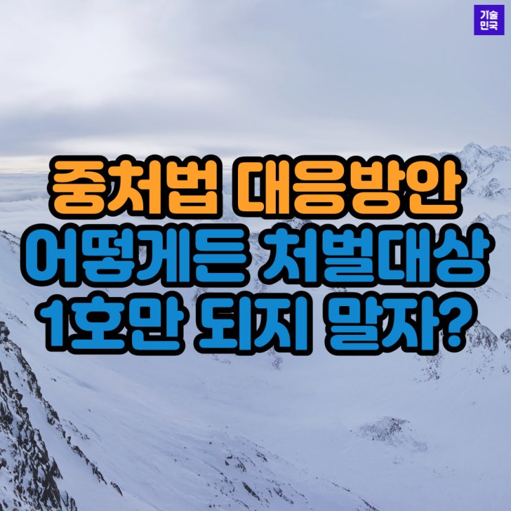  중처법 대응방안, 어떻게든 처벌대상 1호만 되지 말자?