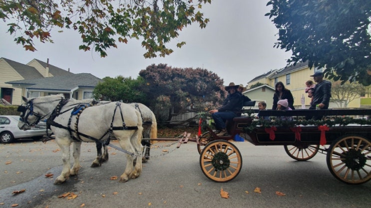  크리스마스를 즐기는 시간  tillwell's fun in the park in the pacific grove 퍼시픽 그로브 크리스마스 어린이 행사