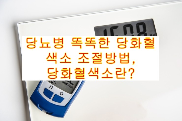  당뇨병 똑똑한 당화혈색소 조절방법, 당화혈색소란?