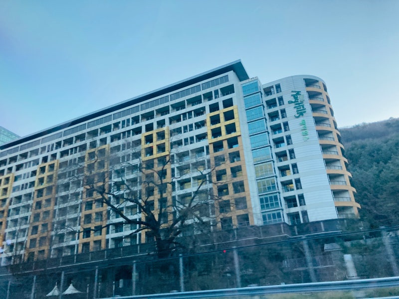 정선 메이힐스 리조트, 1박2일 솔직후기 : 네이버 블로그 정선 메이힐스 리조트, 1박2일 솔직후기 : 네이버 블로그