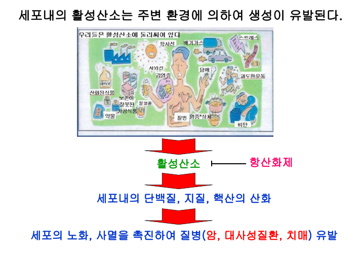  우리 몸에 독소가 쌓이고 있다 Part.5