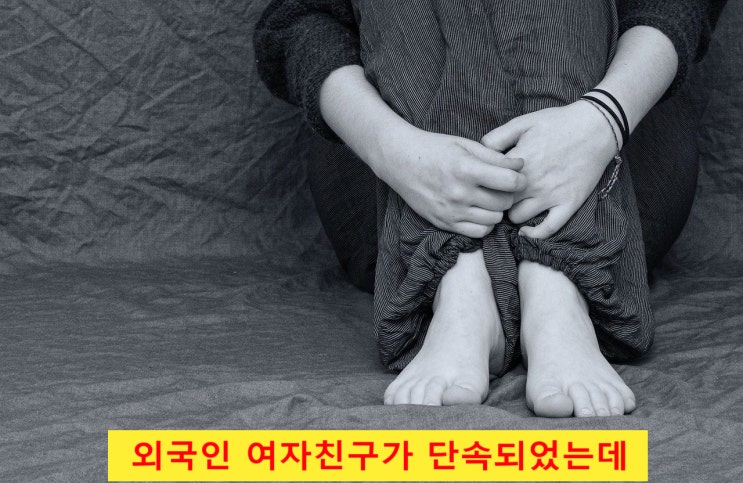 불법체류자 일시보호해제(외국인보호소) 청구(태국, 몽골, 베트남, 러시아)