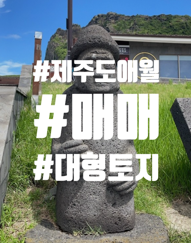  제주도 애월읍 봉성리 대형 토지 매매