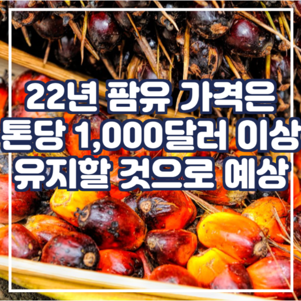  22년 팜유 가격은 톤당 1,000달러 이상을 유지할 것으로 예상