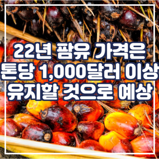 22년 팜유 가격은 톤당 1,000달러 이상을 유지할 것으로 예상