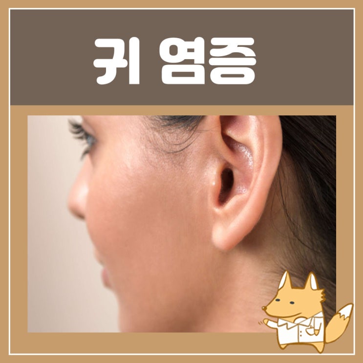  귀염증 외이도염 치료 : 귓바퀴 염증 이충만감, 귀 진물, 귀부음 귀가 뜨거워요