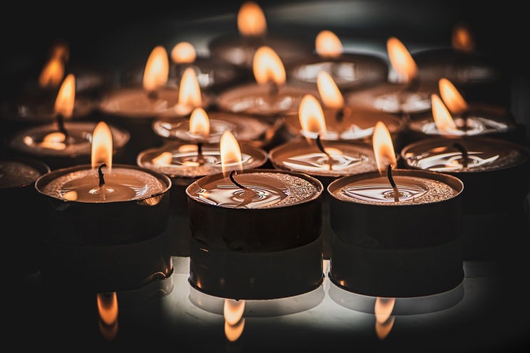  12월 7일 수요일 간추린 뉴스(내맘대로)