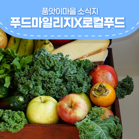  푸드 마일리지와 로컬 푸드 운동으로 보는 로컬푸드 장점 5가지