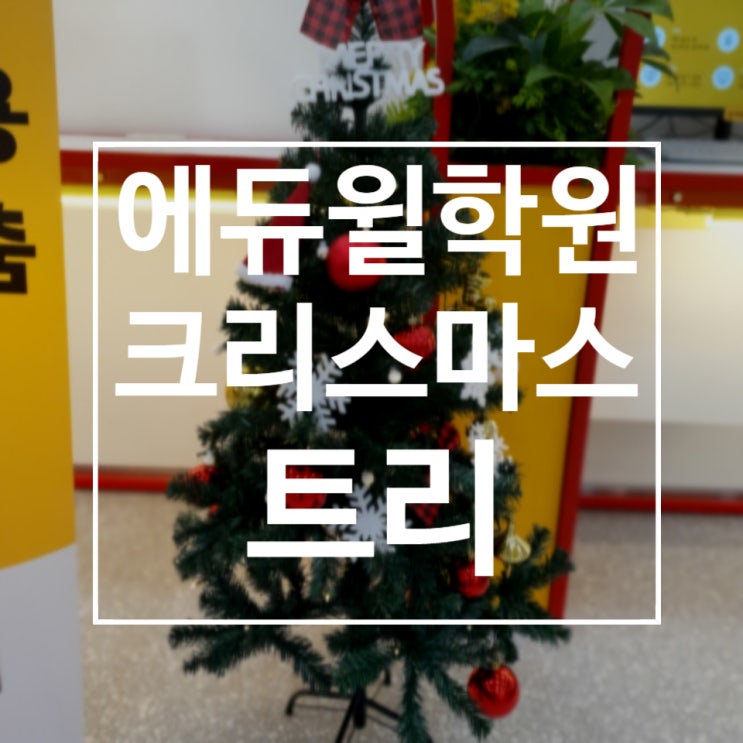  [노량진기술직학원] 에듀윌 노량진학원에 예쁜 트리가 왔어요
