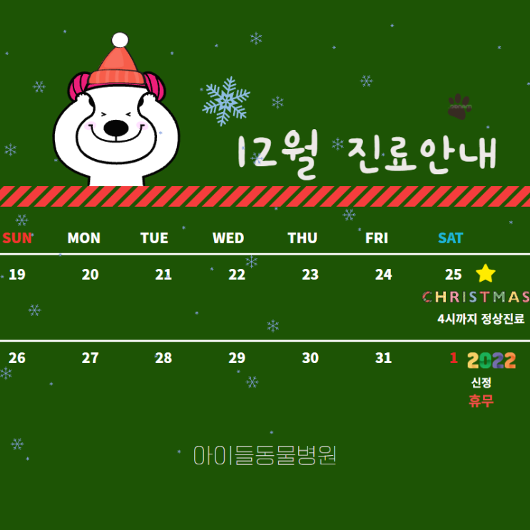  12월 진료 안내