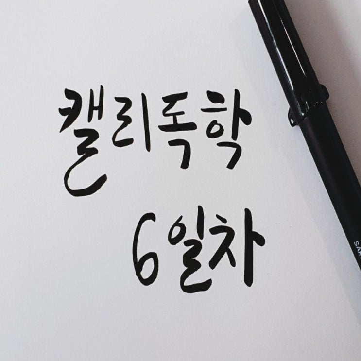 집에서 할수있는 취미생활 캘리그라피 독학 6일차 브러쉬펜 사쿠라 피그마 BB활용하기