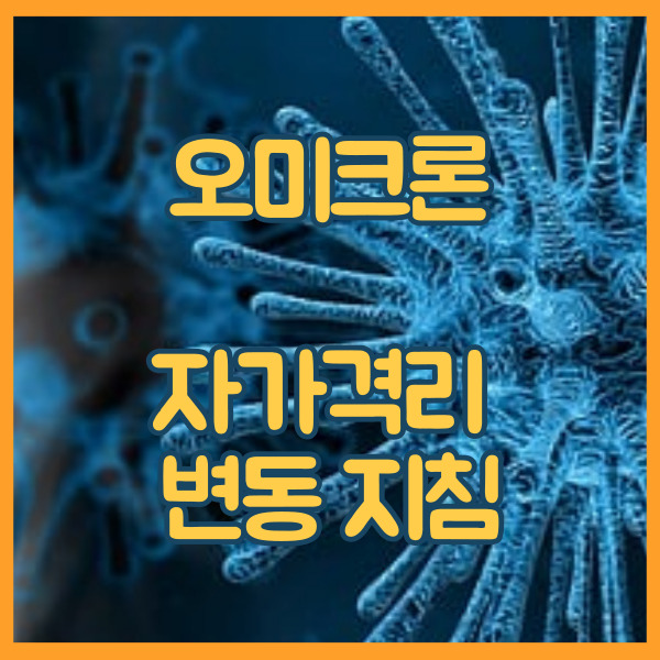  오미크론 자가격리 면제 또 변경 ?