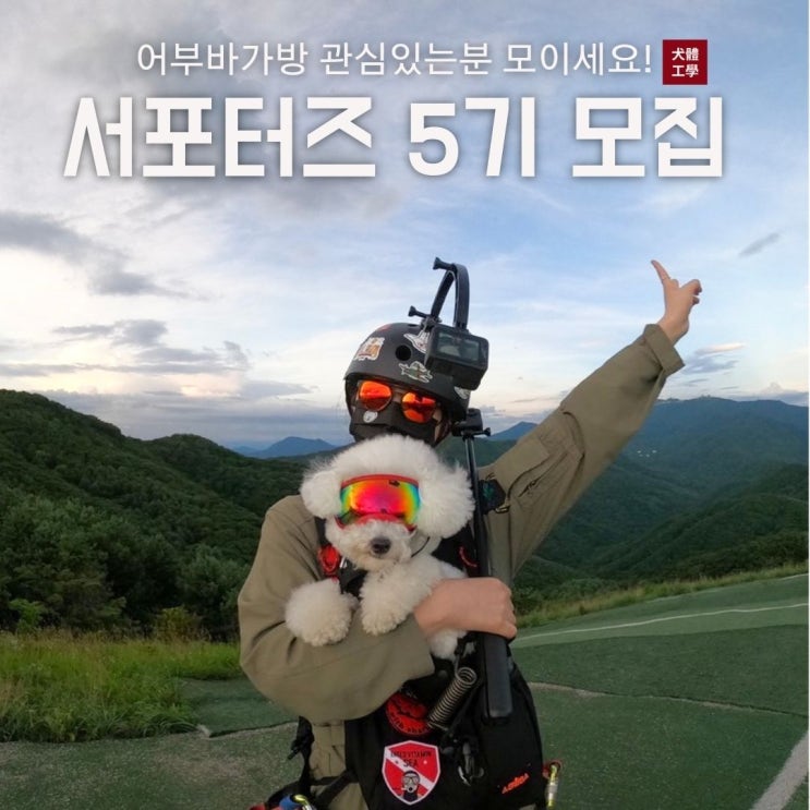  견체공학 어부바가방 서포터즈 5기 모집중! feat.애견입는가방