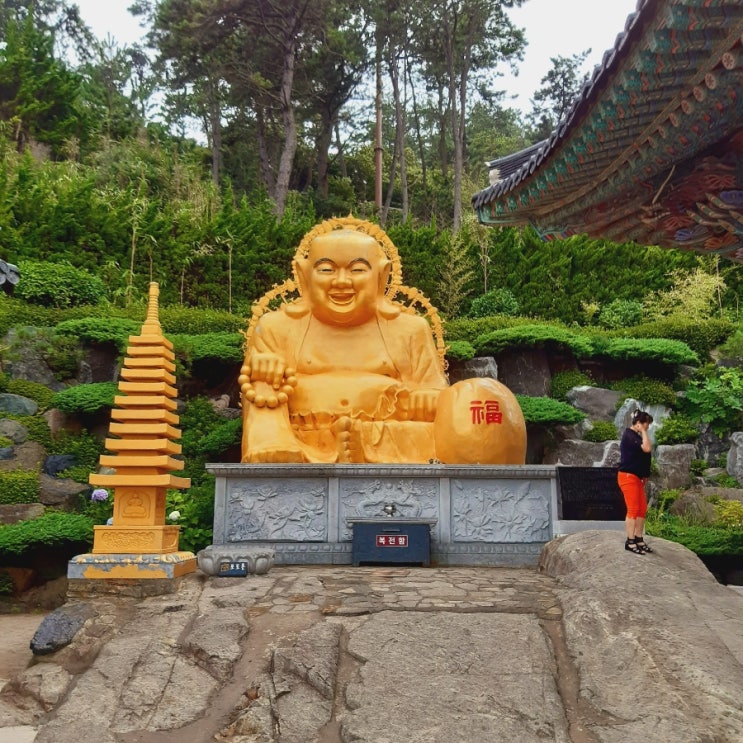 부산 해동용궁사 기장 여행코스로 정말 추천드림 부산 해동용궁사 기장 여행코스로 정말 추천드림