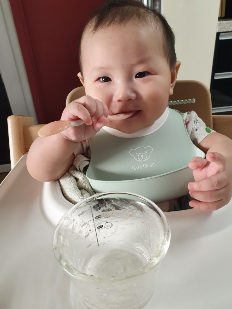  [이유식 중기] 219일 베이비무브로 불린 쌀 넣어서 만드는 소고기양파두부죽과 소고기애호박당근죽 (feat. 유모차 타고 나들이)
