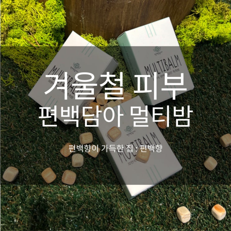  겨울철 건조 피부 관리 꿀팁 편백담아 멀티밤 하나로 해결