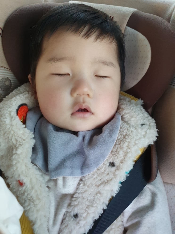  생후494일 :: 12월 5일은 결혼식 기념일