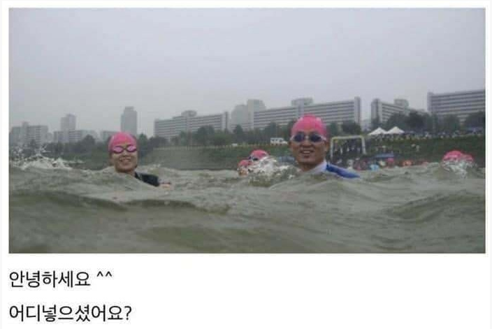  이번엔 왕창 물렸어